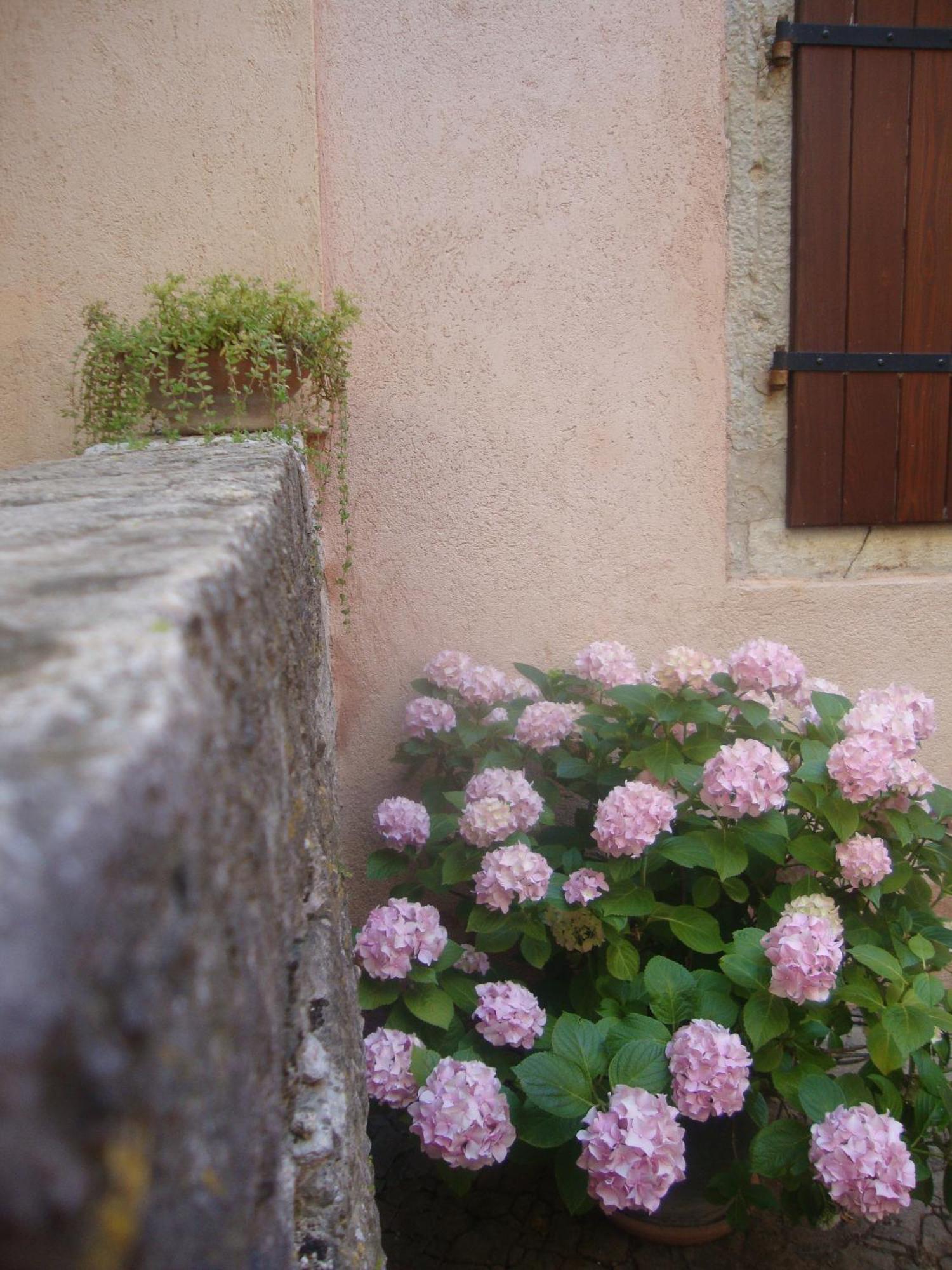 Bed & Breakfast Antico Motovun Exterior foto